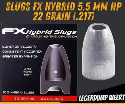 Slugs FX Hybrid 5.5 mm HP 22 grain (.217)