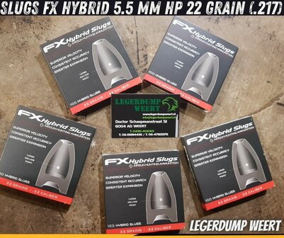 Slugs FX Hybrid 5.5 mm HP 22 grain (.217)