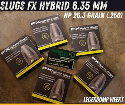 Slugs FX Hybrid 6.35 mm HP 26.3 grain (.250)