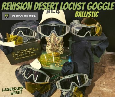 revision goggle 