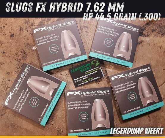 Slugs FX Hybrid 7.62 mm HP 44.5 grain (.300)